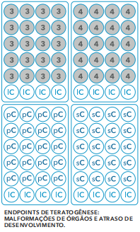 endpoints teratogênese.png