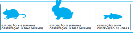 exposição observação.png