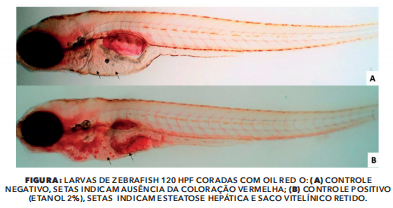 larvas controles.png