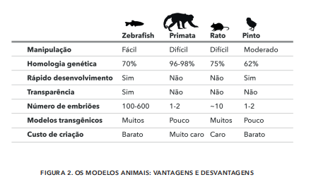modelos vant desvant.png
