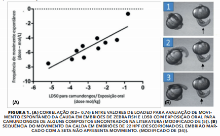 mov cauda.png